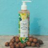 shampoo-cîme