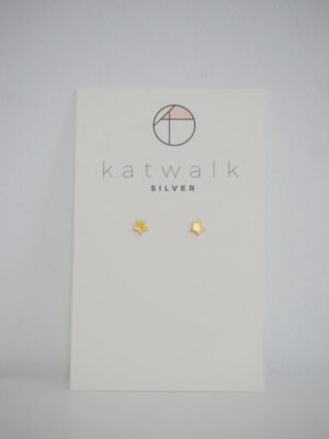 katwalk-silver-oorbellen