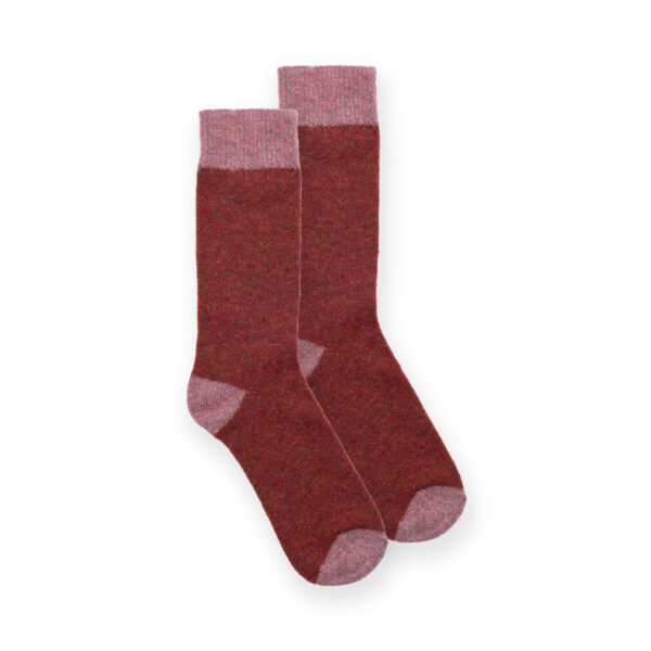 wolvis-socks-orange-pink