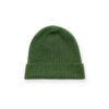 wolvis-beanie-cactus