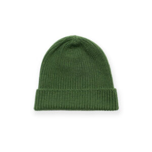 wolvis-beanie-cactus