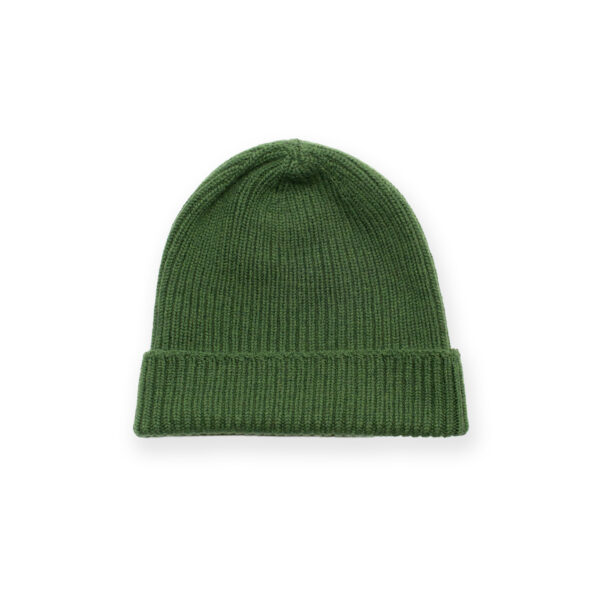 wolvis-beanie-cactus