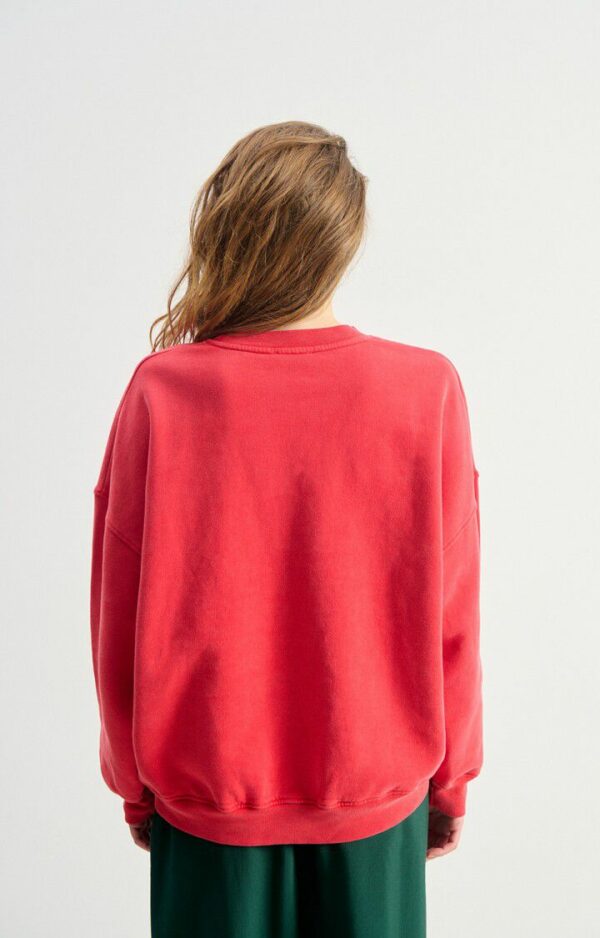 PLI03CH Sweater Plizzy | Rood Vintage - American Vintage - Afbeelding 4